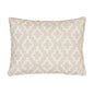 SO17843 JAKE Schumacher Pillow-Quiet Pink