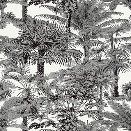 T10102 PALM BOTANICAL Black Thibaut Wallpaper