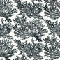 T10123 MARINE CORAL Black Thibaut Wallpaper