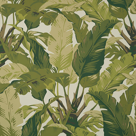 T10131 TRAVELERS PALM Sage Thibaut Wallpaper