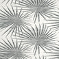 T10145 PALM FROND Black And White Thibaut Wallpaper