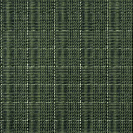 T10202 GRASSMARKET CHECK Forest Green Thibaut Wallpaper