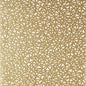 T10401 AEDAN Cream Thibaut Wallpaper