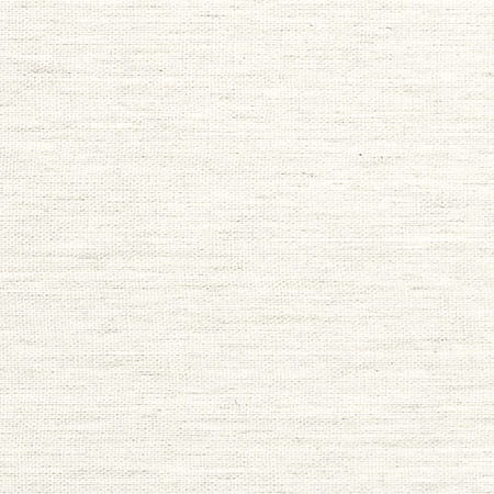 T10849 VILLA GARDEN TEXTURE Natural Thibaut Wallpaper