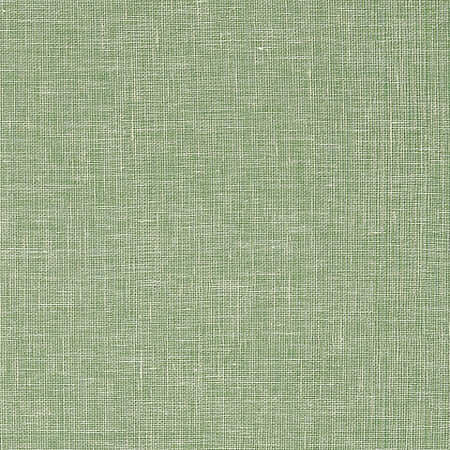 T10850 VILLA GARDEN TEXTURE Green Thibaut Wallpaper