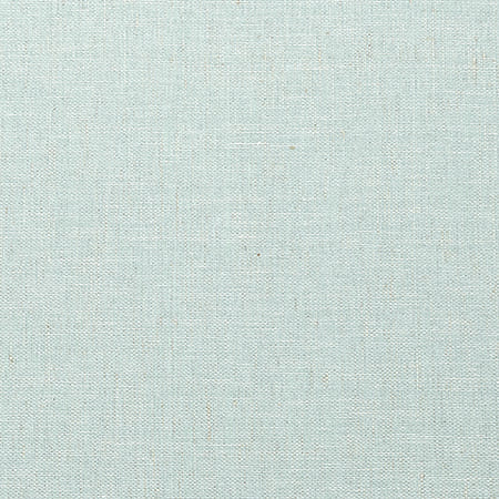 T10852 VILLA GARDEN TEXTURE Robin'S Egg Thibaut Wallpaper