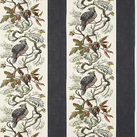 T10858 WILLIAMSON Black Thibaut Wallpaper
