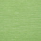 T13107 SURFRIDER Emerald Green Thibaut Wallpaper