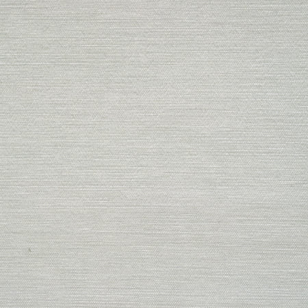 T13108 SURFRIDER Light Grey Thibaut Wallpaper