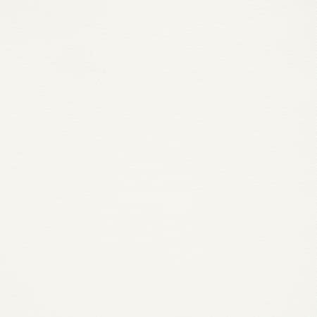 T13112 SURFRIDER White Thibaut Wallpaper