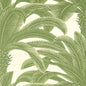T13911 QUEEN PALM Sage Thibaut Wallpaper