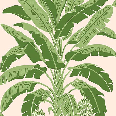 T13917 BANANA TREE Pink And Green Thibaut Wallpaper