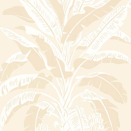 T13920 BANANA TREE Beige Thibaut Wallpaper