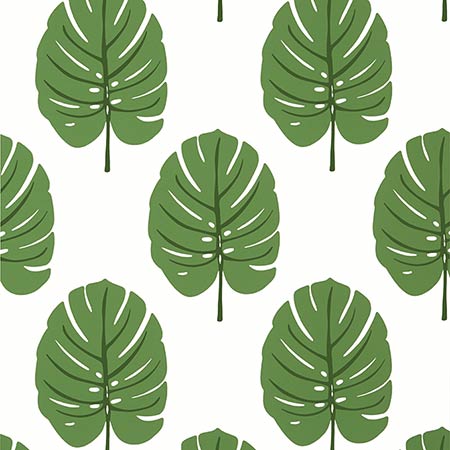 T13952 MONSTERA Green Thibaut Wallpaper