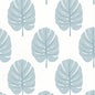 T13954 MONSTERA Spa Blue Thibaut Wallpaper