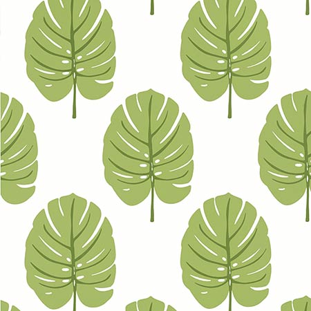 T13955 MONSTERA Apple Green Thibaut Wallpaper