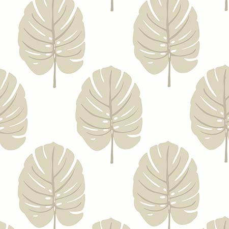 T13956 MONSTERA Beige Thibaut Wallpaper