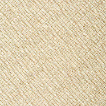 T14503 JACKSON WEAVE Cashmere Thibaut Wallpaper