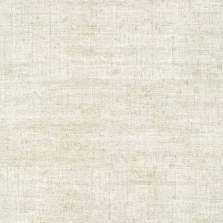 T14510 BANKUN RAFFIA Oyster Thibaut Wallpaper