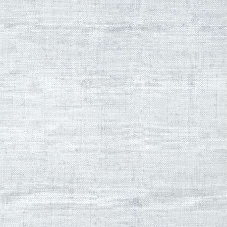 T14517 BANKUN RAFFIA Ice Thibaut Wallpaper