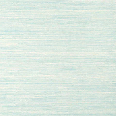 T14528 LUTA SISAL Mist Thibaut Wallpaper