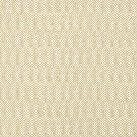 T14539 RIMBA Camel Thibaut Wallpaper