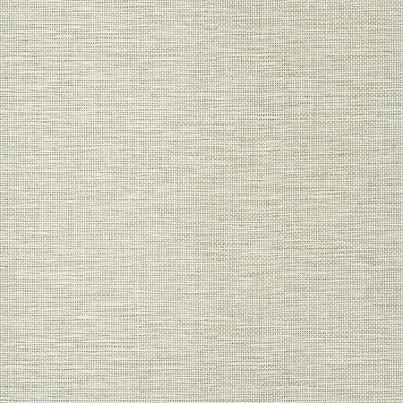 T14563 SPIRO Taupe Thibaut Wallpaper