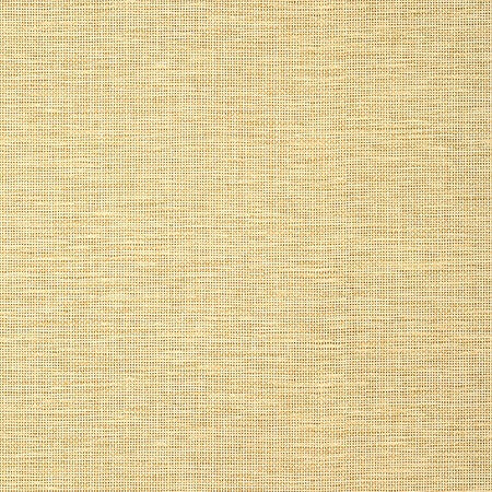 T14564 SPIRO Straw Thibaut Wallpaper