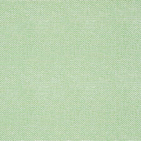 T16261 PALAWAN Green Thibaut Wallpaper