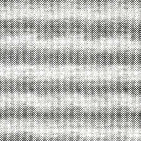 T16264 PALAWAN Charcoal Thibaut Wallpaper