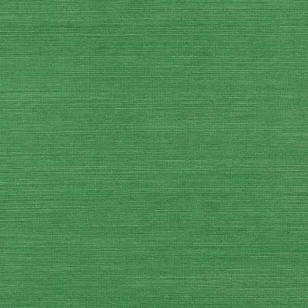 T19612 SHANG EXTRA FINE SISAL Emerald Green Thibaut Wallpaper