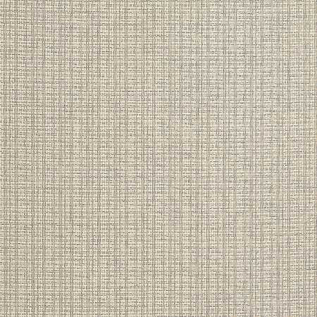 T19635 COASTLINE Tan Thibaut Wallpaper