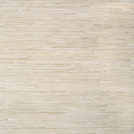 T24056 SUTTON Beige Thibaut Wallpaper