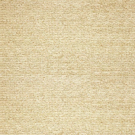 T27042 PIMA BRAID Straw Thibaut Wallpaper