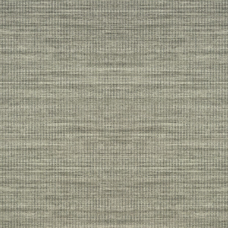 T317 JOURNEY Taupe Thibaut Wallpaper
