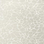T4017 AMATO Metallic Pewter Thibaut Wallpaper
