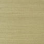 T41166 SHANG EXTRA FINE SISAL Moss Thibaut Wallpaper