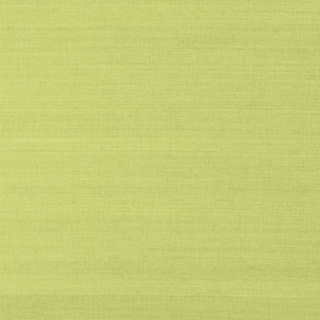 T41181 SHANG EXTRA FINE SISAL Green Thibaut Wallpaper