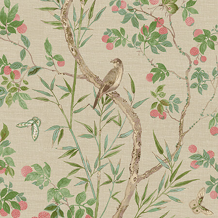 T42009 CLAIRE Coral And Green Thibaut Wallpaper