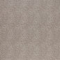 TAMARAC 7 SANDSTONE Stout Fabric