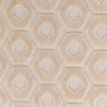 Tambourine 5 Cream Stout Fabric