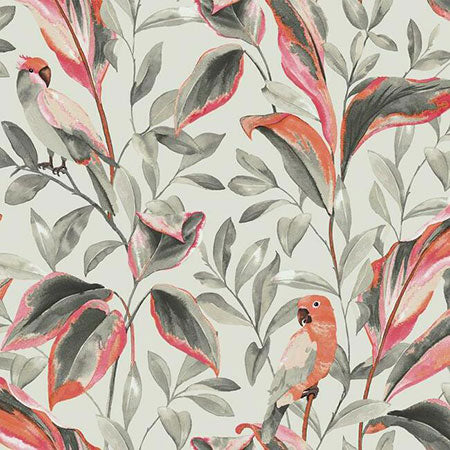 TC2652 Tropical Love Birds York Wallpaper