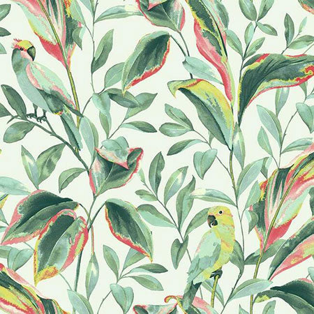 TC2653 Tropical Love Birds York Wallpaper
