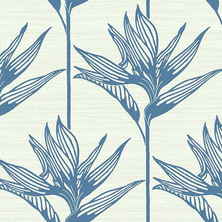 TC2671 Bird Of Paradise York Wallpaper