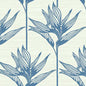 TC2671 Bird Of Paradise York Wallpaper