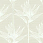 TC2672 Bird Of Paradise York Wallpaper