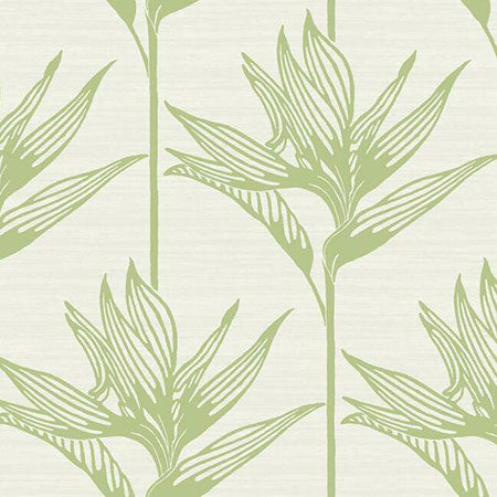 TC2675 Bird Of Paradise York Wallpaper
