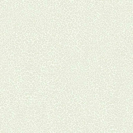 TC2682 Leopard King York Wallpaper