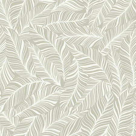 TC2711 Rainforest Canopy York Wallpaper