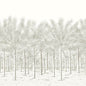 TM13948 PALM GROVE MURAL Beige Thibaut Wallpaper